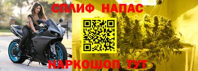 гидра Обь