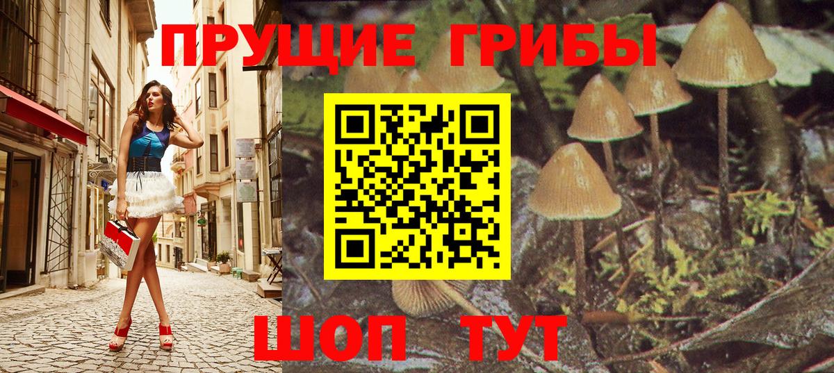 Галлюциногенные грибы GOLDEN TEACHER  Вход с VPN  Анжеро-Судженск 