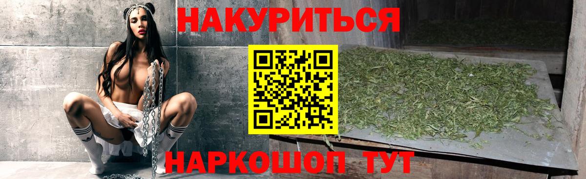 Конопля план Анжеро-Судженск